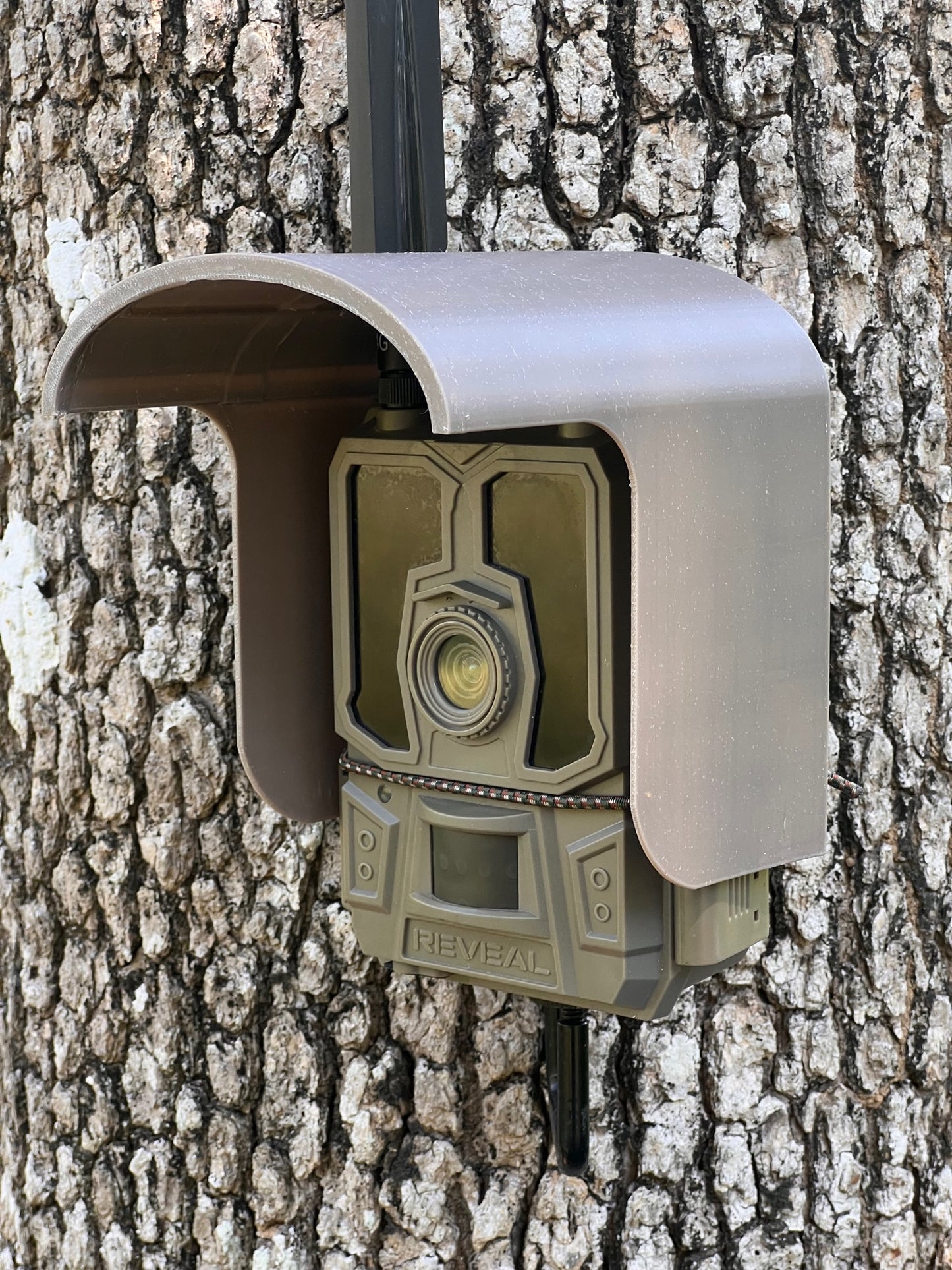 trail camera