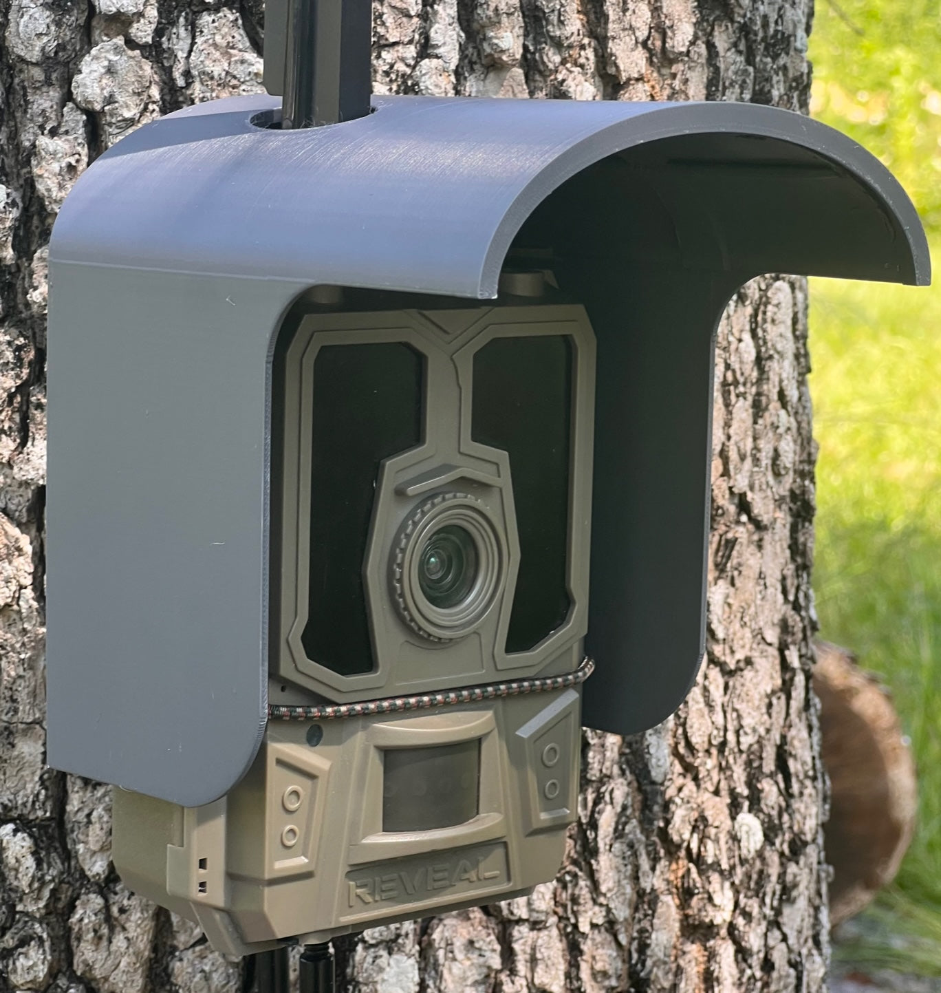 trail camera