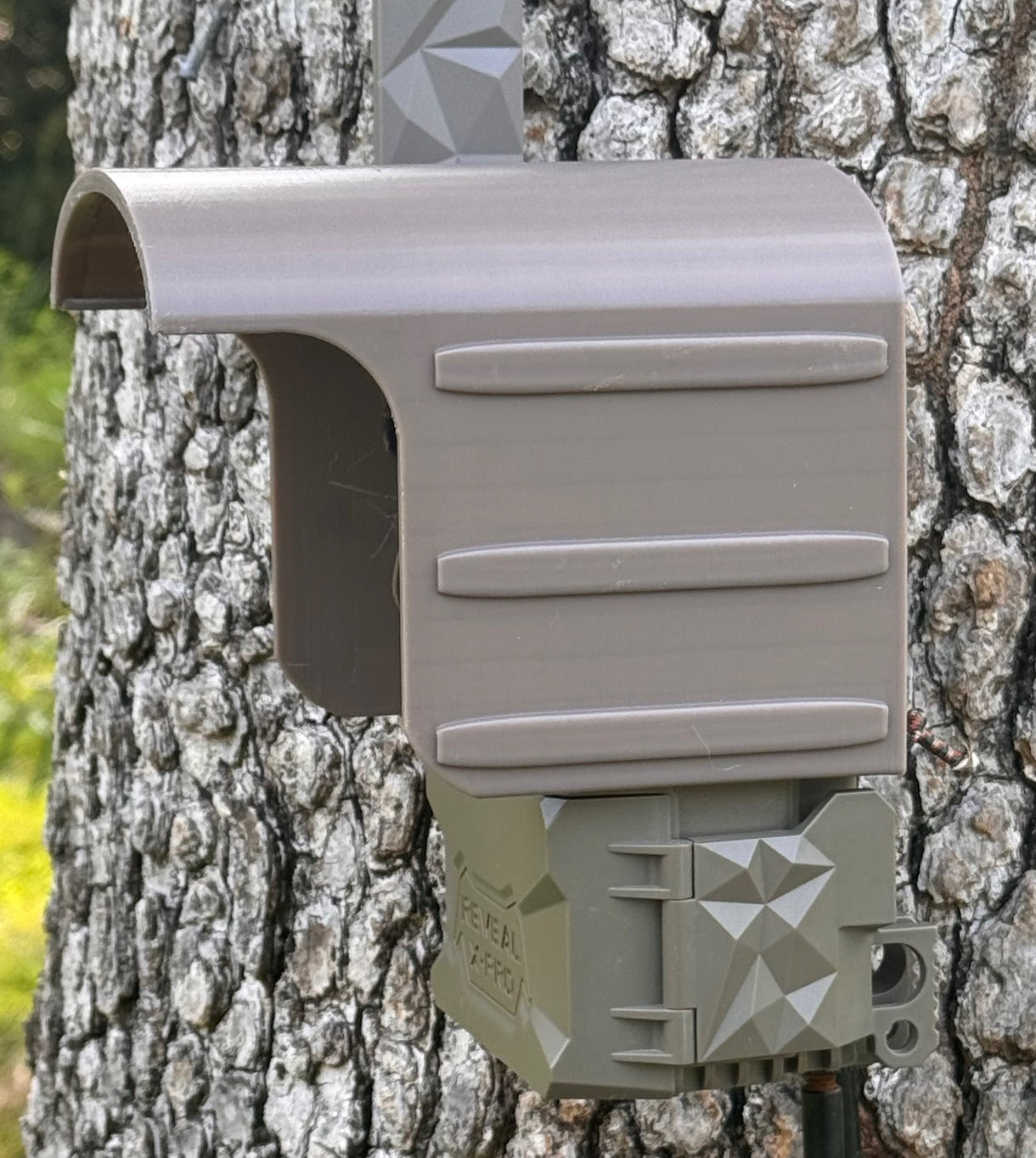 tactacam reveal
