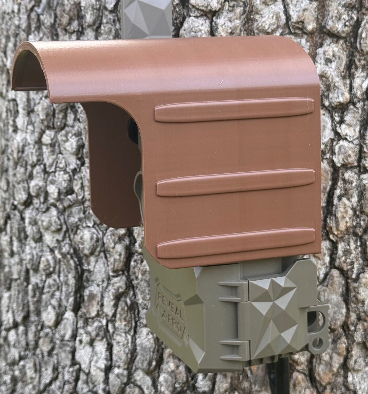 deer camera