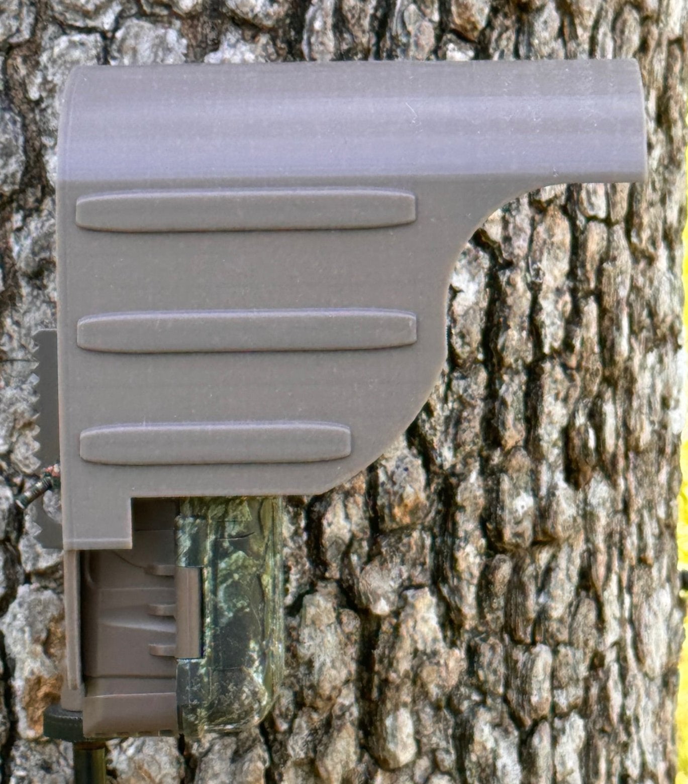 cellular trail camera