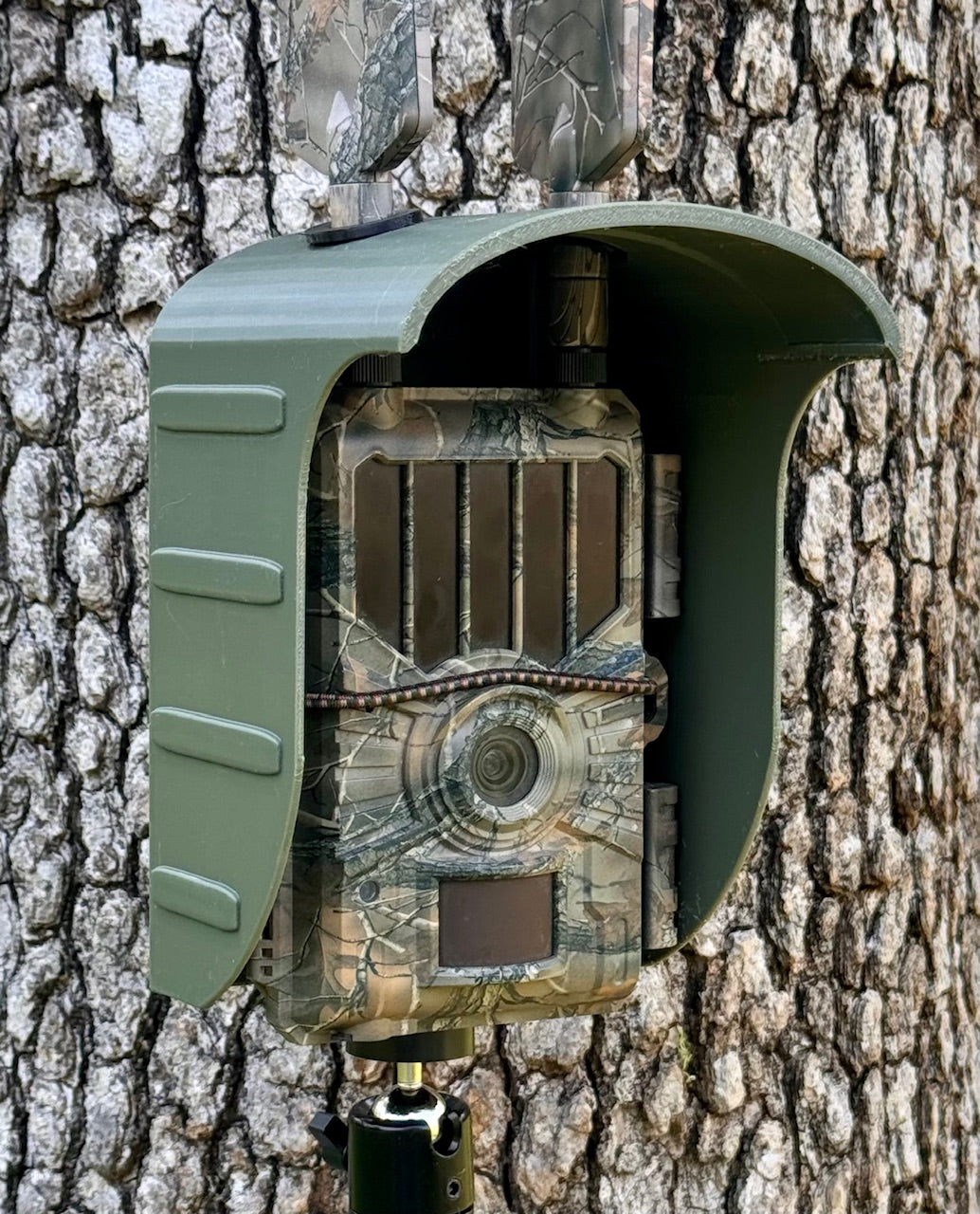 wiseeye trail camera snow cover