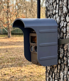 camera trap