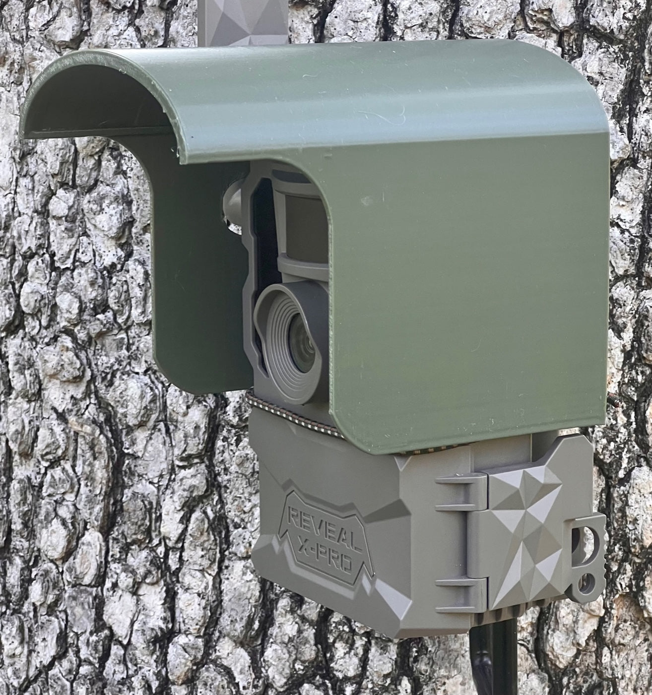 trail camera