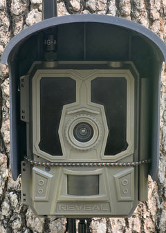 cellular trail camera cover