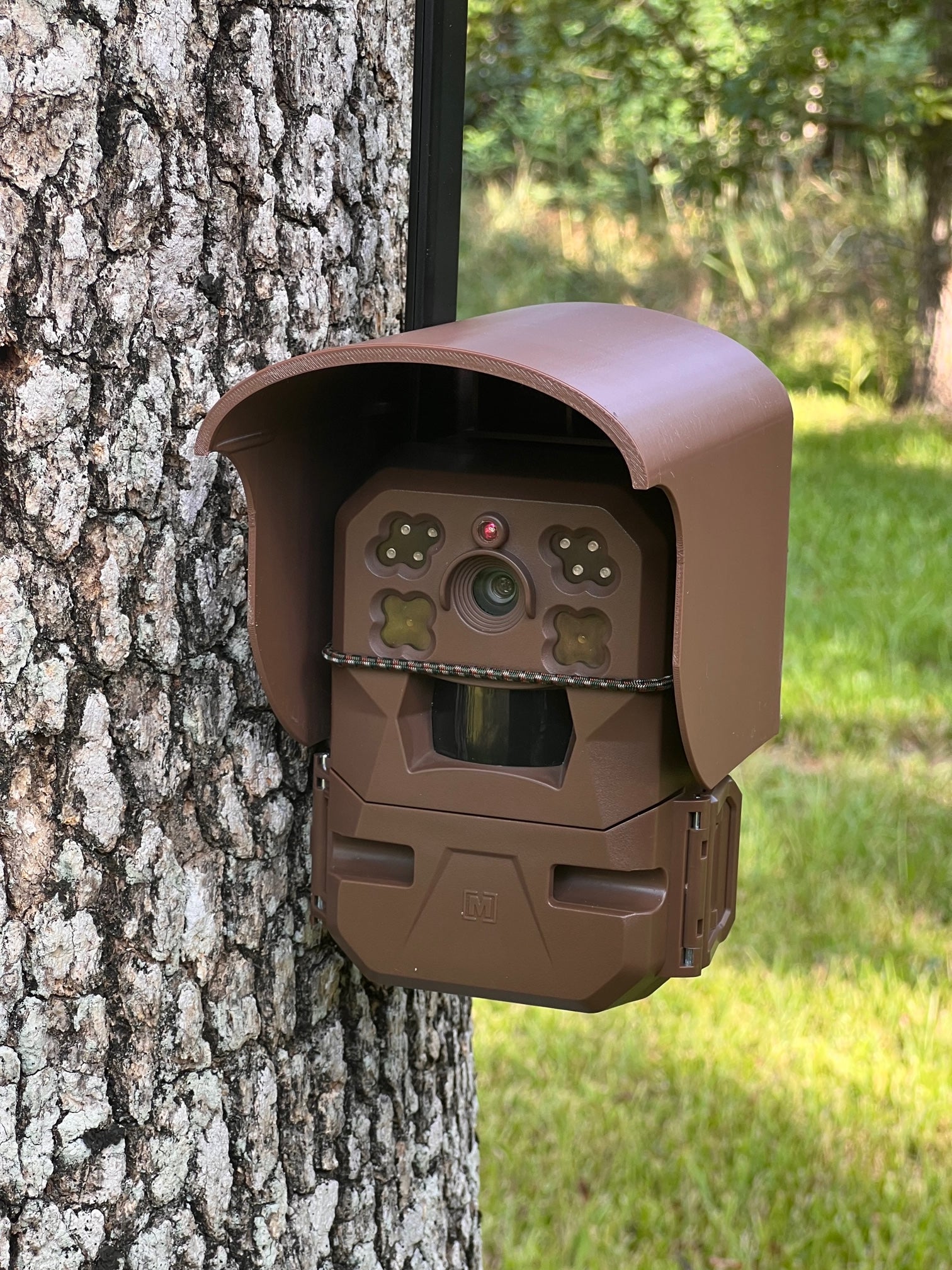 trail camera