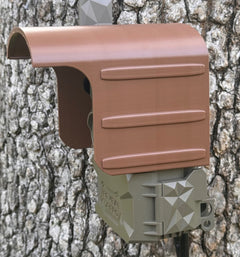 deer camera